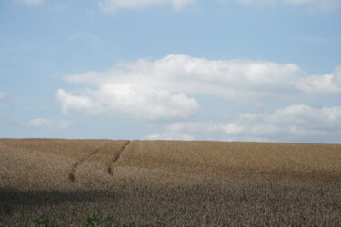 Photographie intitulée "Le champs de blé" par Ernest Tosetti, Œuvre d'art originale, Photographie numérique