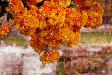 Photographie intitulée "Une grappe de fleurs" par Ernest Tosetti, Œuvre d'art originale, Photographie manipulée