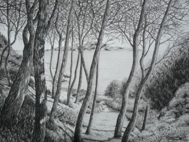 Drawing titled "le calanque" by Erwin Esquivel C, Original Artwork, Charcoal