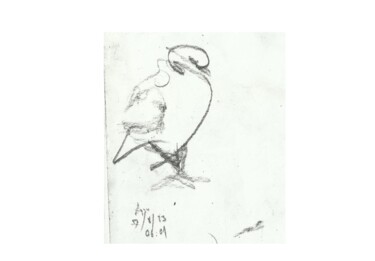 "kuş14" başlıklı Tablo Esra Aysu Çeşme tarafından, Orijinal sanat, Kalem