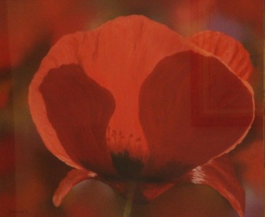 Drawing titled "Coquelicot en solo…" by Etienne Guérinaud, Original Artwork, Pastel Mounted on Cardboard