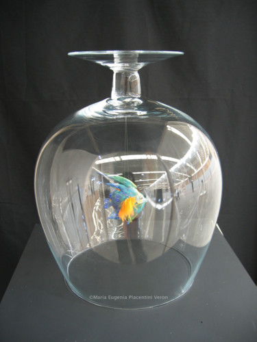 Design titled "Alquimia" by María Eugenia Piacentini Veron, Original Artwork, Installation Art