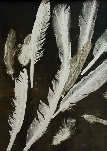 Εκτυπώσεις & Χαρακτικά με τίτλο "Eternal Feathers  (…" από Eva Lacres, Αυθεντικά έργα τέχνης, Μονοτυπία Τοποθετήθηκε στο Ξύλ…