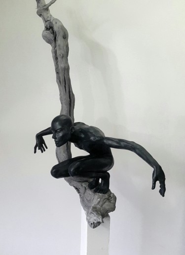 Sculptuur getiteld "L'homme oiseau" door Eva Czaplicki, Origineel Kunstwerk, Terra cotta