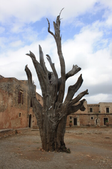 Photographie intitulée "Survivant" par Evelyne Descamps, Œuvre d'art originale