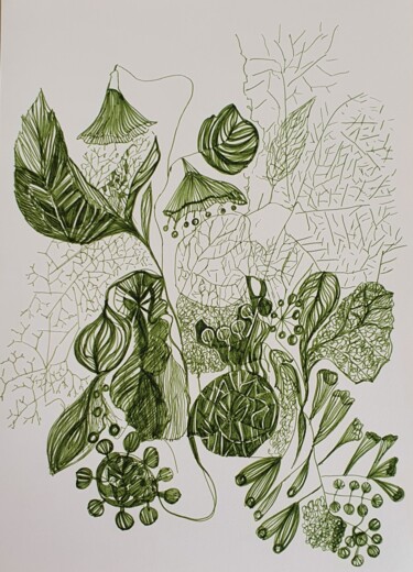 Tekening getiteld "végétaux graphiques" door Evelyne Siaudeau, Origineel Kunstwerk, Potlood