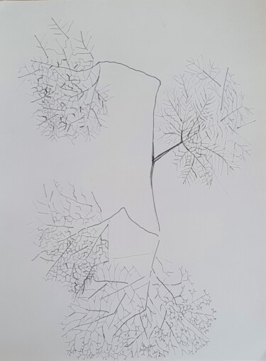 Drawing titled "végétal graphique n…" by Evelyne Siaudeau, Original Artwork, Ballpoint pen