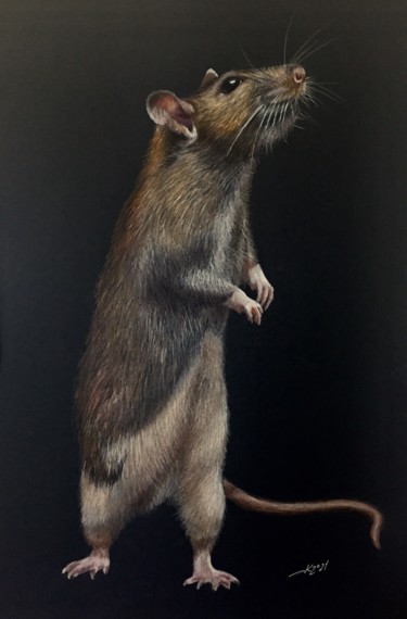 Disegno intitolato "Rat prince" da Evgeniy Karpenko, Opera d'arte originale, Matite colorate