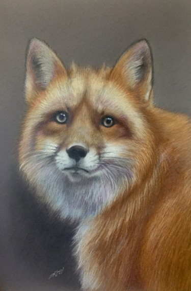 Disegno intitolato "Fox" da Evgeniy Karpenko, Opera d'arte originale, Matite colorate