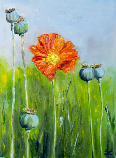 Malerei mit dem Titel "Poppies" von Evgeniya Zragevskaya, Original-Kunstwerk, Öl