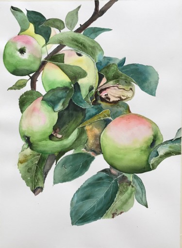 Painting titled "Apple twig" by Ewa Helzen, Original Artwork, Watercolor