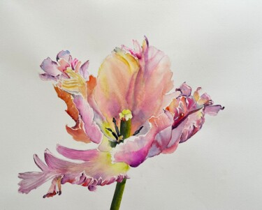 Painting titled "Perrot tulip" by Ewa Helzen, Original Artwork, Watercolor