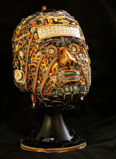 Scultura intitolato "Eco Bust" da Vishwanath Mallabadi Davangere, Opera d'arte originale, Filo