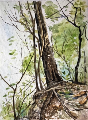Pintura titulada "Tronc d'arbre et ra…" por Francis Bocquet, Obra de arte original, Acuarela