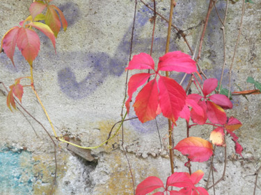 Photographie intitulée "Nature au mur (1)" par Fabrice Cadet, Œuvre d'art originale