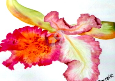 "orchidee" başlıklı Tablo Fanny Laffitte tarafından, Orijinal sanat, Petrol