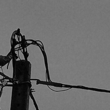 "Electric pole" başlıklı Fotoğraf Fatima Fernandes tarafından, Orijinal sanat, Dijital Fotoğrafçılık