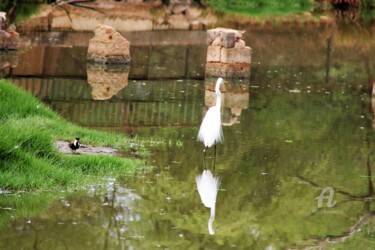 Photographie intitulée "Art&Reflet" par Féemerode, Œuvre d'art originale