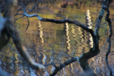 Photography titled "Oh Miroir&Récepteur" by Féemerode, Original Artwork, Non Manipulated Photography