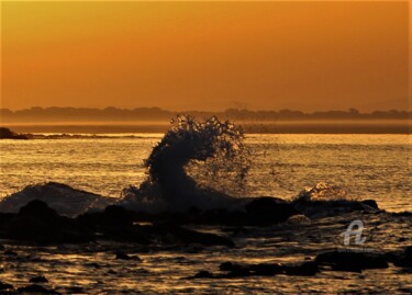 Photography titled "Libr'Art'Lors" by Féemerode, Original Artwork, Non Manipulated Photography