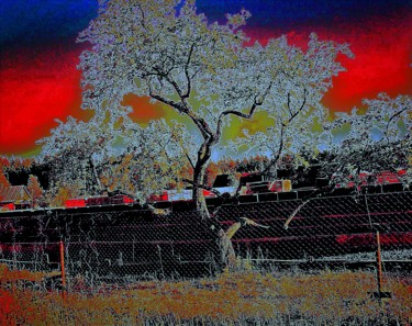 Arte digitale intitolato "Дерево на фоне..." da Irina Dubinina, Opera d'arte originale, Lavoro digitale 2D