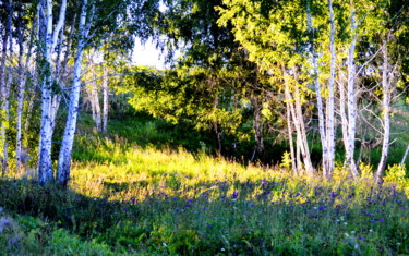 Photography titled "Солнечный лучик." by Irina Dubinina, Original Artwork