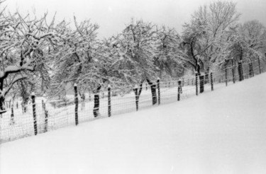 Photographie intitulée "Verger sous la neige" par Francois-Henri Louchet, Œuvre d'art originale