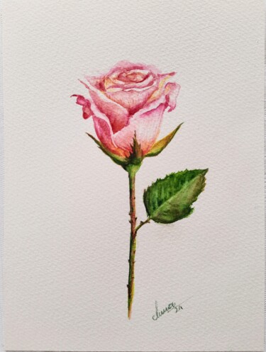 Dessin intitulée "Romantic Vintage Pi…" par Fineartderya, Œuvre d'art originale, Aquarelle