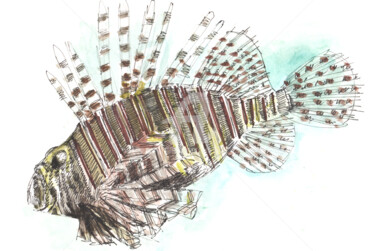 Disegno intitolato "Rascasse" da Studio Figi, Opera d'arte originale, Tessuto