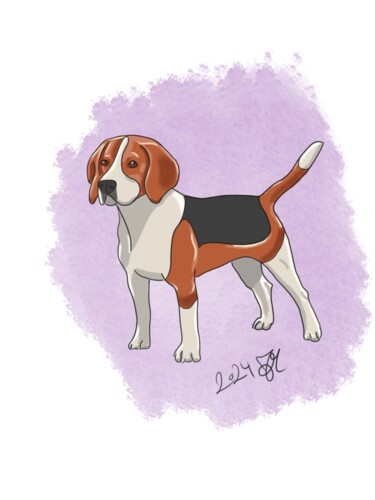 Digitale Kunst getiteld "Der Beagle" door Flavia Mumenthaler, Origineel Kunstwerk, 2D Digital Work