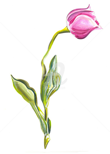 "Pink Lonely Tulip" başlıklı Tablo Flávio Miranda tarafından, Orijinal sanat, Guaş boya