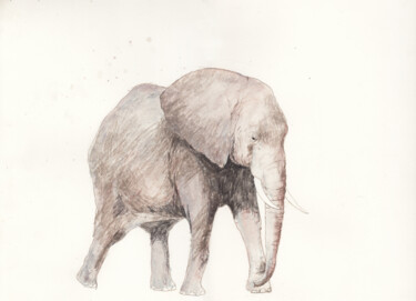 Zeichnungen mit dem Titel "elephant-40x30.jpg" von Fleur Elise Noble, Original-Kunstwerk, Bleistift