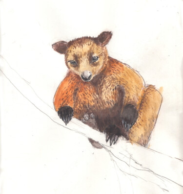 Desenho intitulada "Tree Kangaroo" por Fleur Elise Noble, Obras de arte originais, Pastel