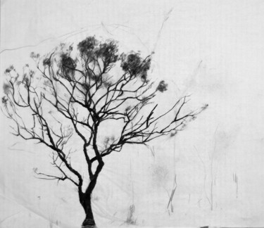 Zeichnungen mit dem Titel "Tree Drawing 2" von Fleur Elise Noble, Original-Kunstwerk, Bleistift
