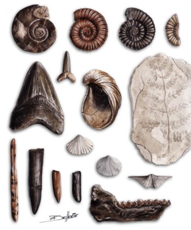 "Fossiles" başlıklı Tablo Florence Dellerie tarafından, Orijinal sanat