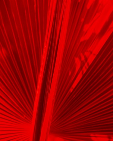 Photographie intitulée "fan-red.jpg" par Florene Welebny, Œuvre d'art originale