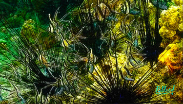 Цифровое искусство под названием "Подводный мир 019" - Vasilij Mischenko, Подлинное произведение искусства, 2D Цифровая Рабо…