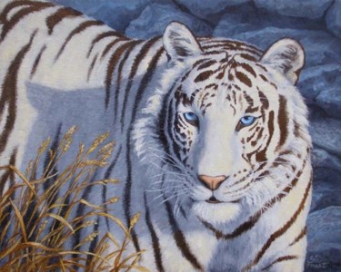 Painting titled "White Tiger "Crysta…" by Crista Forest, Original Artwork, Oil