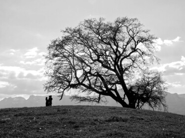 Photography titled "Sous le chêne" by Florence Pouget-Landrieu, Original Artwork, Digital Photography