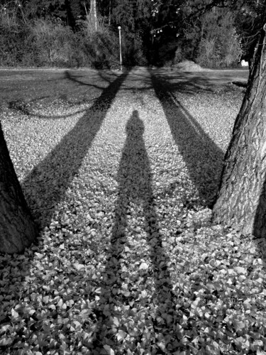 Фотография под названием "Silhouette 3" - Florence Pouget-Landrieu, Подлинное произведение искусства, Цифровая фотография