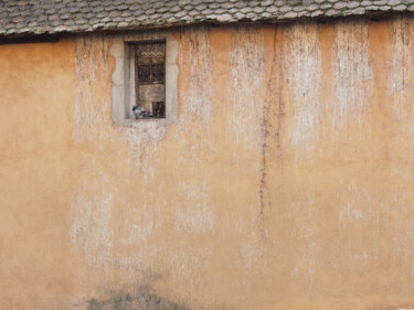 Fotografia intitolato "Solitude" da Florence Pouget-Landrieu, Opera d'arte originale, Fotografia digitale