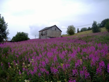 Fotografia intitolato "Cieli di Norvegia 3" da Francesco Cagnato, Opera d'arte originale, Fotografia digitale