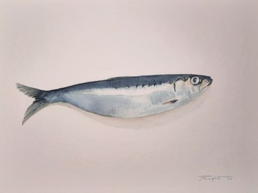 Painting titled "Sardine" by Francisco Cadete, Original Artwork, Watercolor