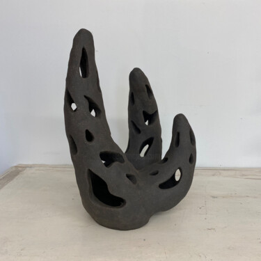 Sculptuur getiteld "Aloe Nera" door Franck Scala, Origineel Kunstwerk, Keramiek