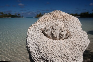 Photographie intitulée "bénitier" par François Carage, Œuvre d'art originale, Photographie non manipulée