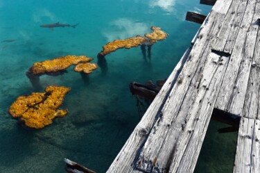 Fotografia zatytułowany „retour” autorstwa François Carage, Oryginalna praca, Fotografia nie manipulowana