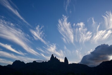 Photography titled "Les cheveux de UA-PO" by François Carage, Original Artwork, Non Manipulated Photography