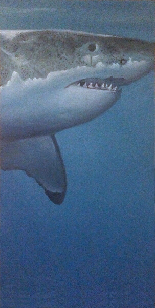 Peinture intitulée "Requin" par Franzart, Œuvre d'art originale, Huile