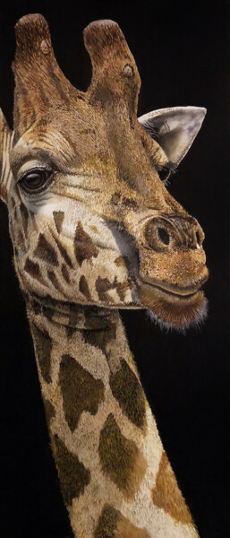 Ζωγραφική με τίτλο "Giraffe" από Franzart, Αυθεντικά έργα τέχνης, Λάδι