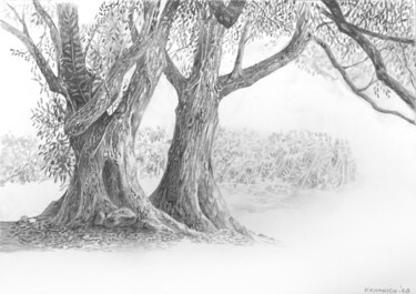 Dessin intitulée "FORÊT -3 - pencil s…" par Franzart, Œuvre d'art originale, Crayon